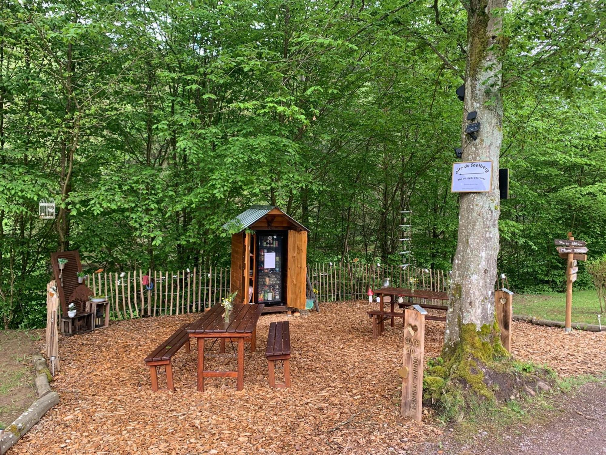 Le Wineck Villa Dambach Exterior photo