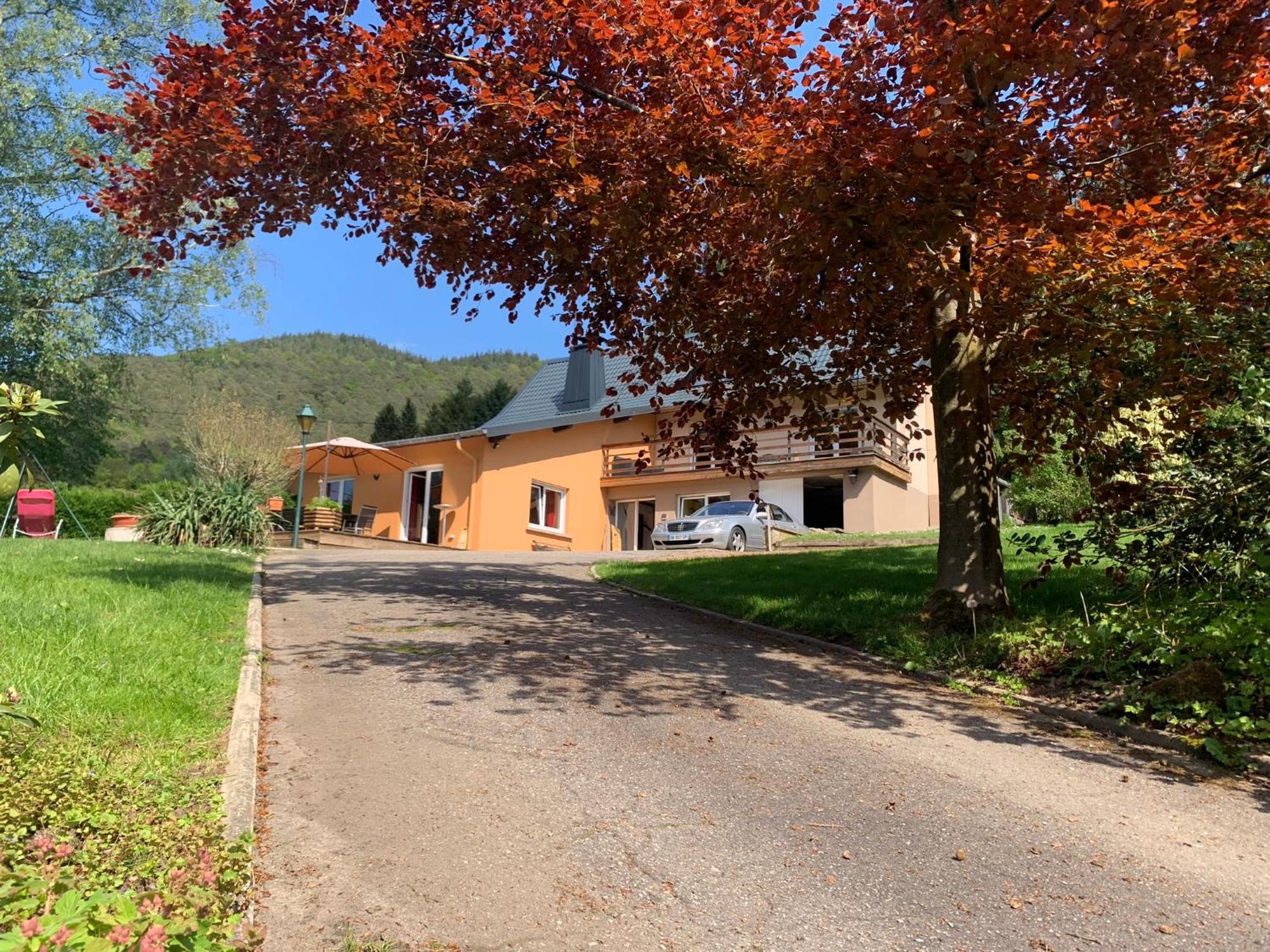 Le Wineck Villa Dambach Exterior photo