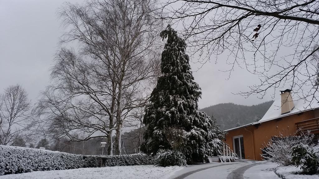Le Wineck Villa Dambach Exterior photo
